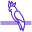cockatoo icon